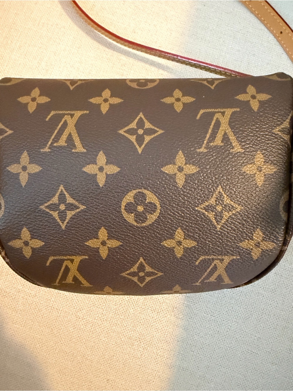 Louis Vuitton Monogram Mini Bag - Brown & Tan - Picture 4 of 13